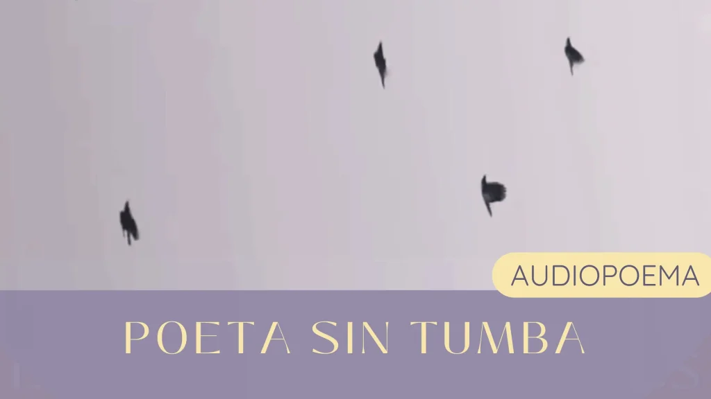 poeta-sin-tumba-poesia-audiopoema-slam-poetry-hadria