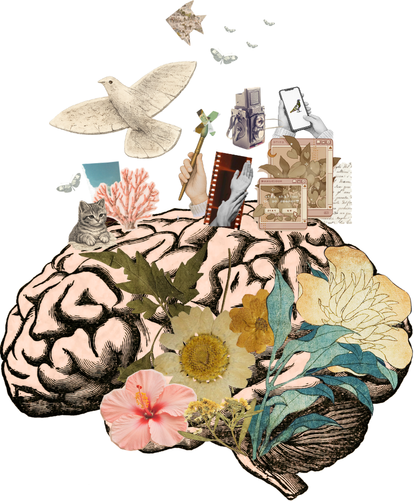 generacion-creativa-icono-hadria-proyecto-infantojuvenil-sociocultural