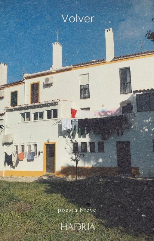Lee más sobre el artículo Volver